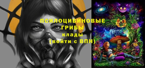 таблы Богданович