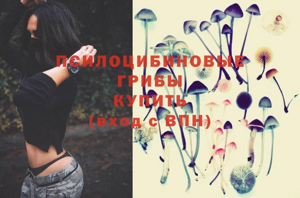 PSILOCYBIN Богородицк