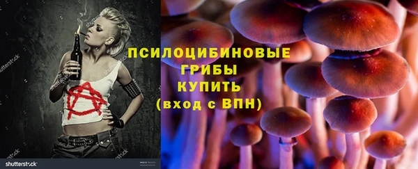 таблы Богданович