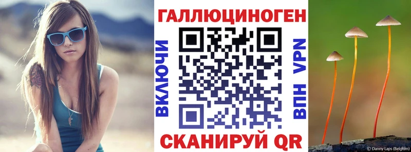Псилоцибиновые грибы Psilocybine cubensis  дарнет шоп  Катайск 
