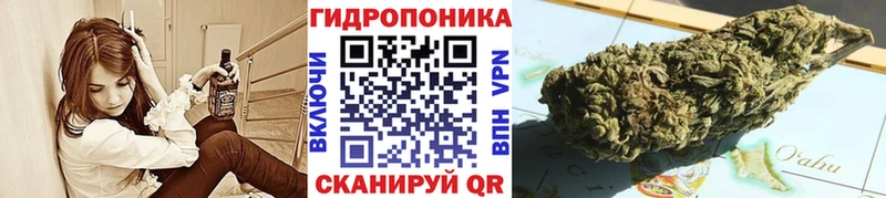 Канабис White Widow  как найти закладки  Катайск 